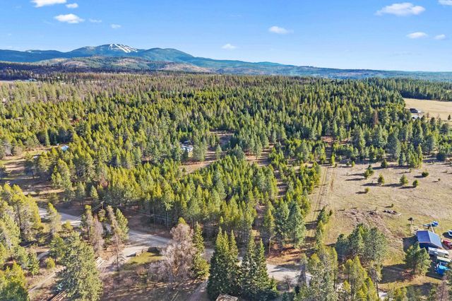 12818 E Bridges Rd, Elk, WA 99009