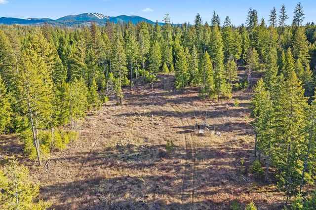 12818 E Bridges Rd, Elk, WA 99009