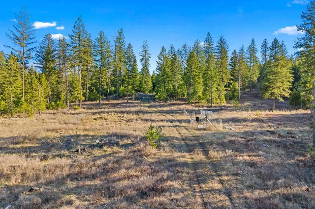 12818 E Bridges Rd, Elk, WA 99009