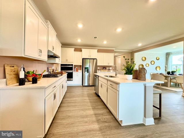 34057 SKYFLOWER LOOP, Lewes, DE 19958
