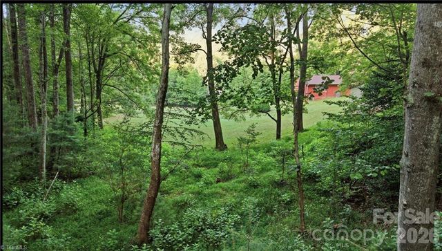 11526 US Highway 421 None, Purlear, NC 28665