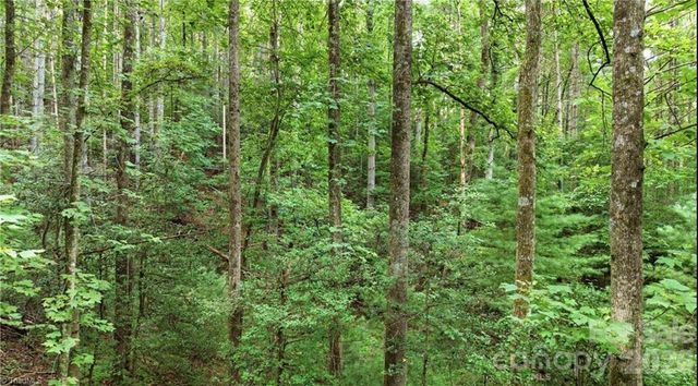 11526 US Highway 421 None, Purlear, NC 28665