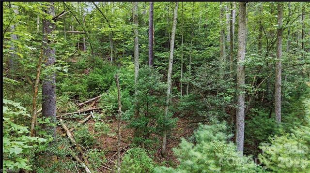 11526 US Highway 421 None, Purlear, NC 28665