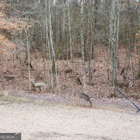 155 Brookside Way, Dawsonville, GA 30534