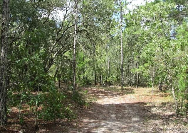 6496 N Bernzott Point, Dunnellon, FL 34433