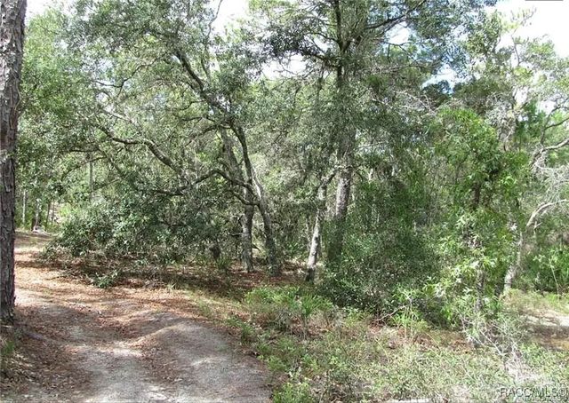 6496 N Bernzott Point, Dunnellon, FL 34433