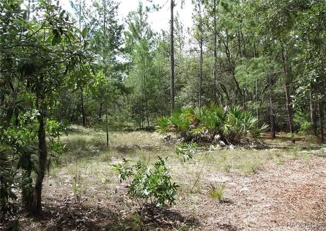 6496 N Bernzott Point, Dunnellon, FL 34433