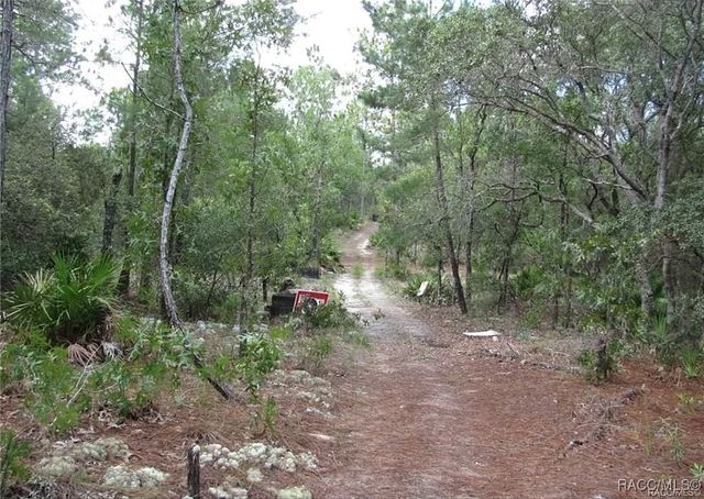 6496 N Bernzott Point, Dunnellon, FL 34433