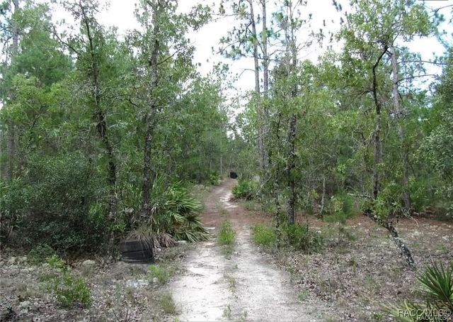 6496 N Bernzott Point, Dunnellon, FL 34433