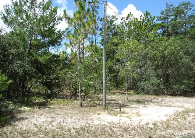 6496 N Bernzott Point, Dunnellon, FL 34433