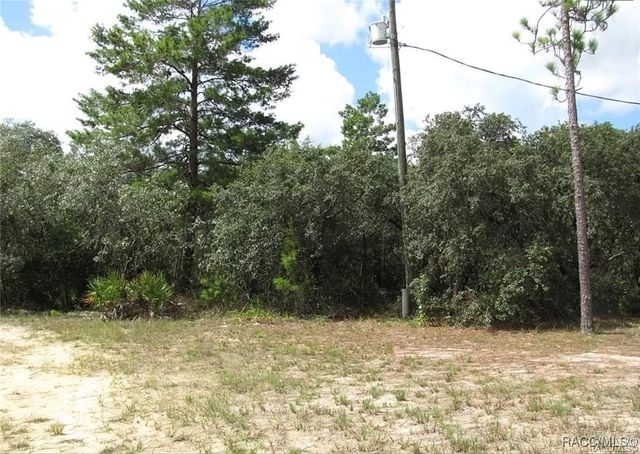 6496 N Bernzott Point, Dunnellon, FL 34433