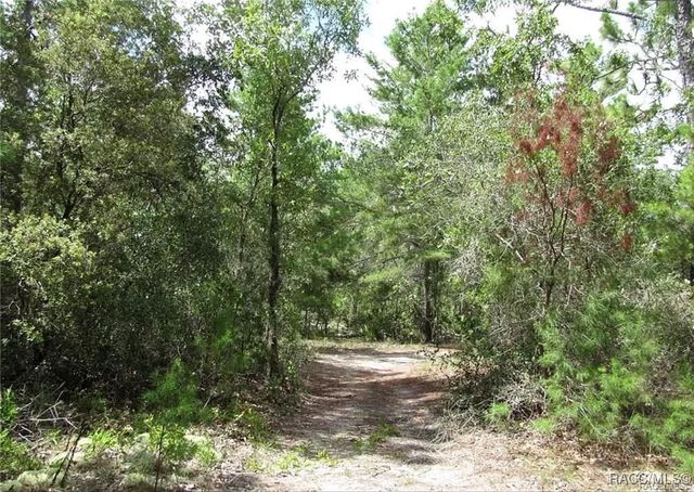 6496 N Bernzott Point, Dunnellon, FL 34433