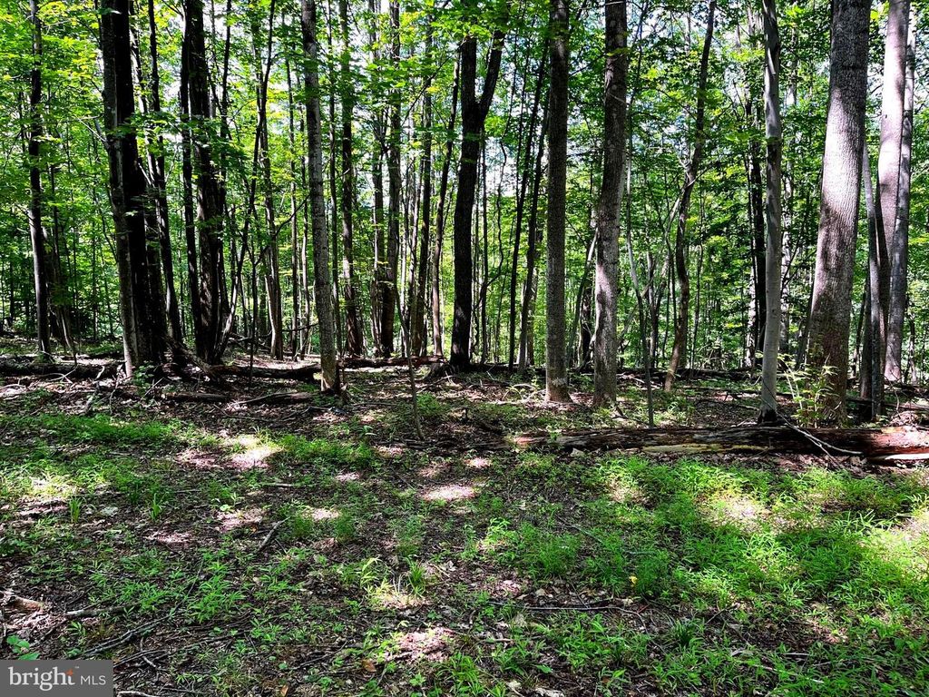 PIONEER LN, Boyce, VA 22620