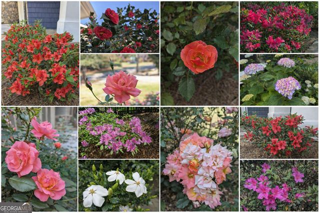 1103 Ridenour Court NW, Kennesaw, GA 30152