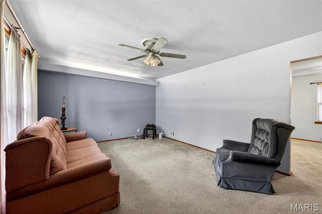10128 Isabelle Place, St Ann, MO 63074