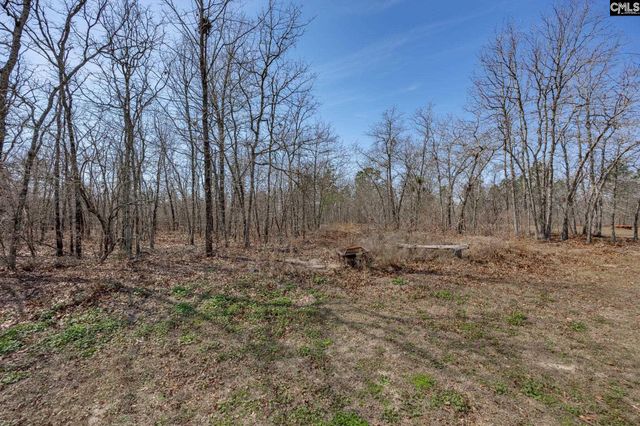 331 Freeman Drive, Gaston, SC 29053