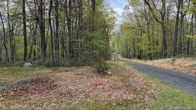 187 Echo Road, Bloomingburg, NY 12721