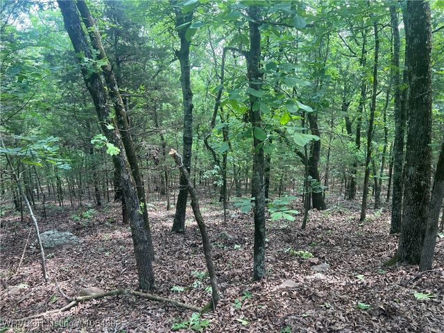 13404 Durant Hill Road, Poteau, OK 74953