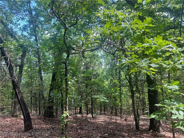 13404 Durant Hill Road, Poteau, OK 74953