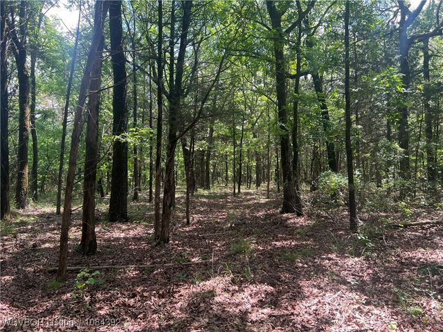 13404 Durant Hill Road, Poteau, OK 74953