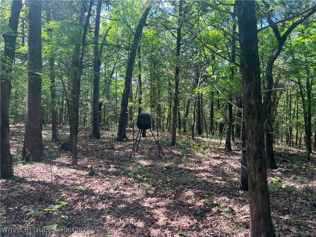 13404 Durant Hill Road, Poteau, OK 74953