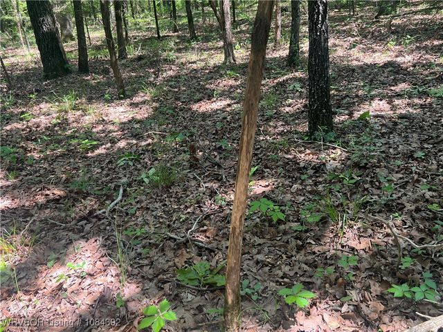 13404 Durant Hill Road, Poteau, OK 74953