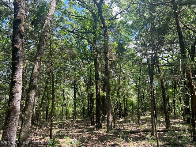 13404 Durant Hill Road, Poteau, OK 74953