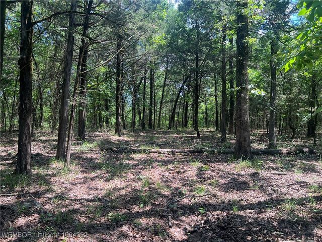 13404 Durant Hill Road, Poteau, OK 74953