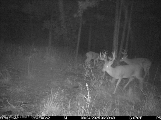 13404 Durant Hill Road, Poteau, OK 74953