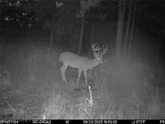 13404 Durant Hill Road, Poteau, OK 74953