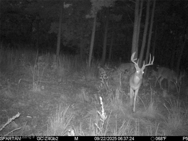 13404 Durant Hill Road, Poteau, OK 74953