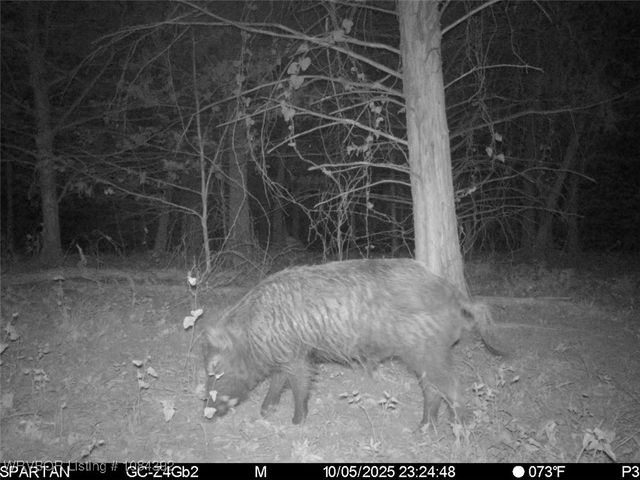 13404 Durant Hill Road, Poteau, OK 74953