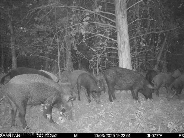 13404 Durant Hill Road, Poteau, OK 74953