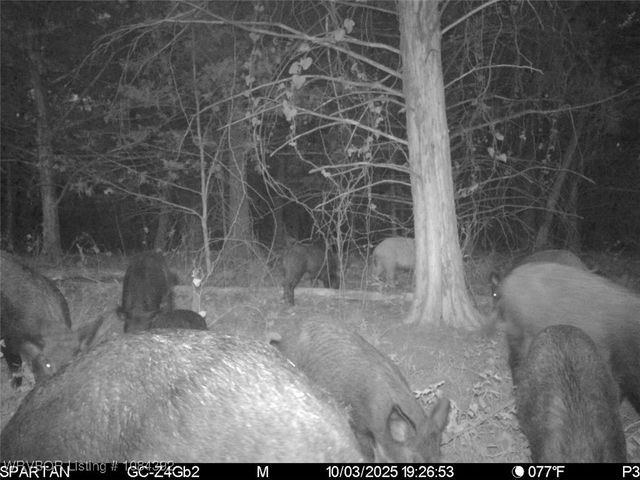 13404 Durant Hill Road, Poteau, OK 74953