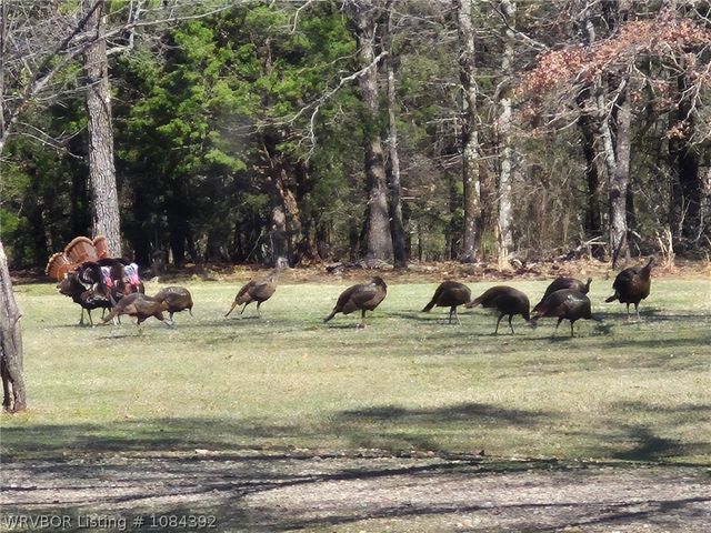 13404 Durant Hill Road, Poteau, OK 74953