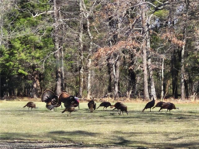 13404 Durant Hill Road, Poteau, OK 74953