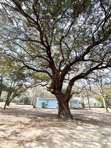 1645 Cuffy Lane, Charleston, SC 29412