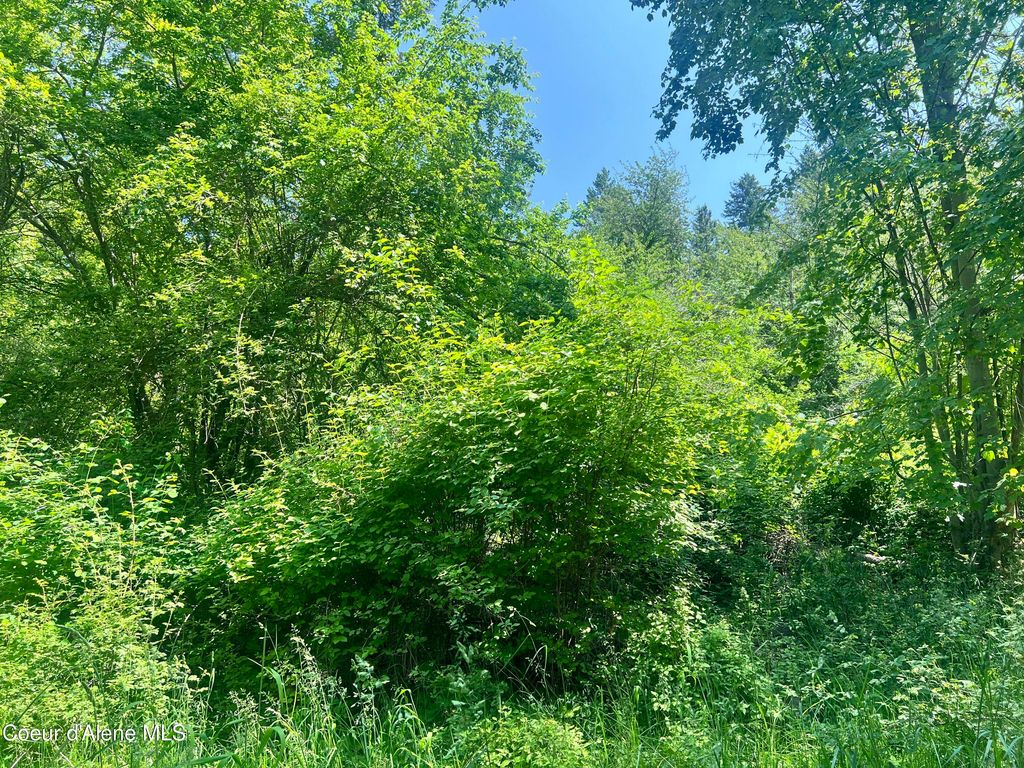 00NKA S Lakeview Ln, Harrison, ID 83833 photo 10