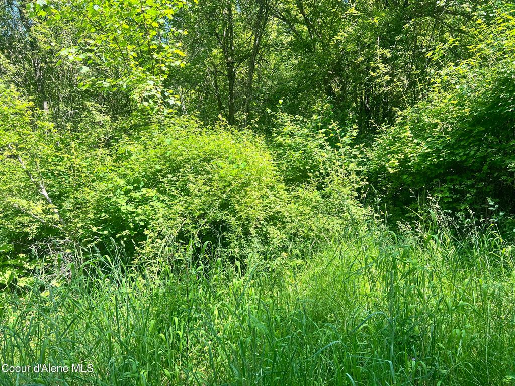 00NKA S Lakeview Ln, Harrison, ID 83833 photo 11