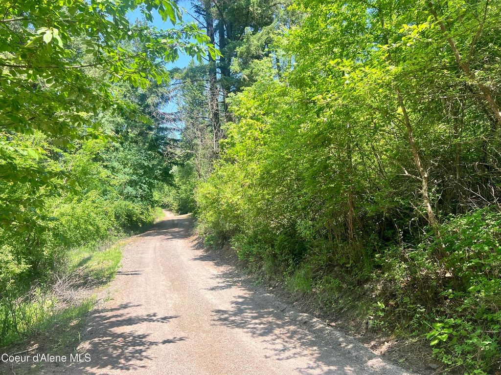 00NKA S Lakeview Ln, Harrison, ID 83833 photo 13