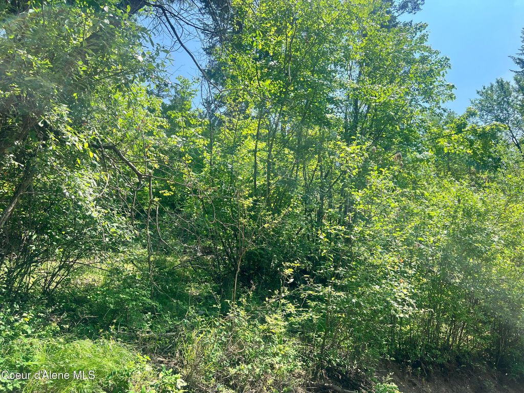 00NKA S Lakeview Ln, Harrison, ID 83833 photo 14