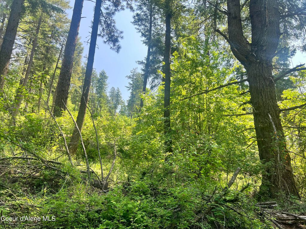 00NKA S Lakeview Ln, Harrison, ID 83833 photo 15