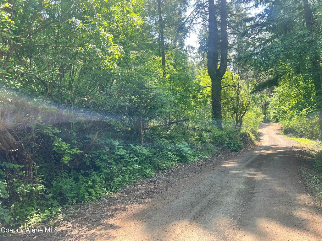 00NKA S Lakeview Ln, Harrison, ID 83833 photo 16