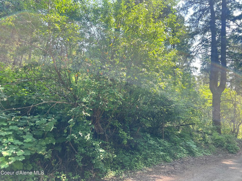 00NKA S Lakeview Ln, Harrison, ID 83833 photo 17