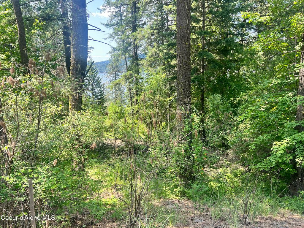 00NKA S Lakeview Ln, Harrison, ID 83833 photo 3