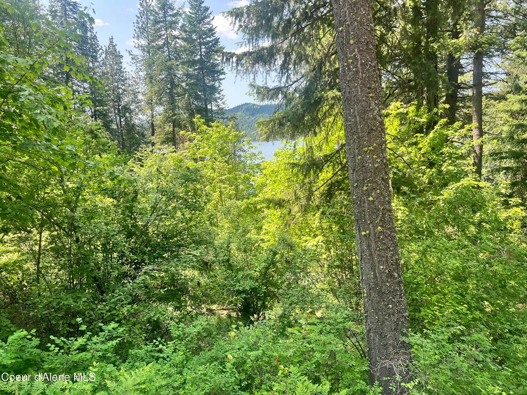 00NKA S Lakeview Ln, Harrison, ID 83833 photo 4