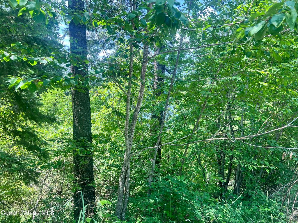 00NKA S Lakeview Ln, Harrison, ID 83833 photo 5