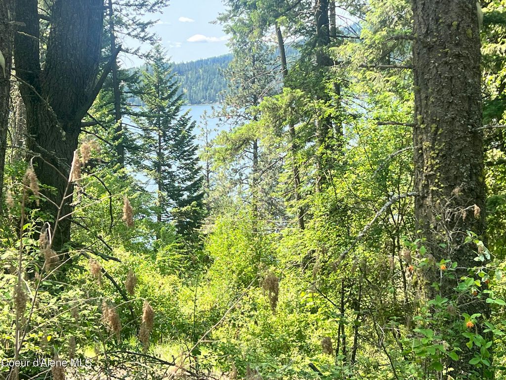 00NKA S Lakeview Ln, Harrison, ID 83833 photo 6