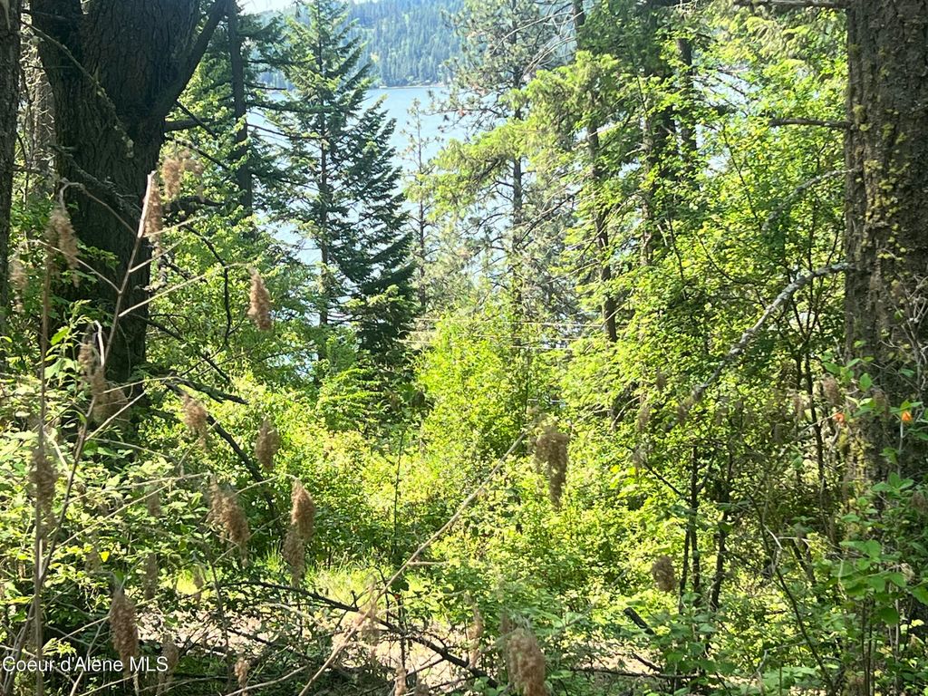 00NKA S Lakeview Ln, Harrison, ID 83833 photo 7