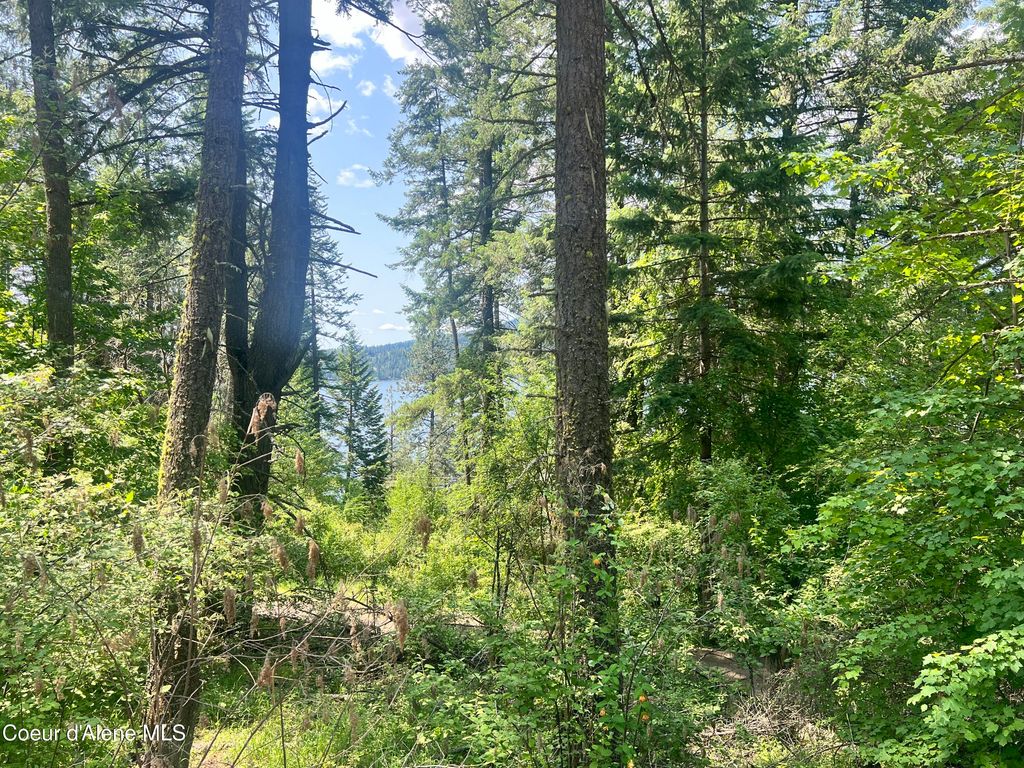 00NKA S Lakeview Ln, Harrison, ID 83833 photo 8